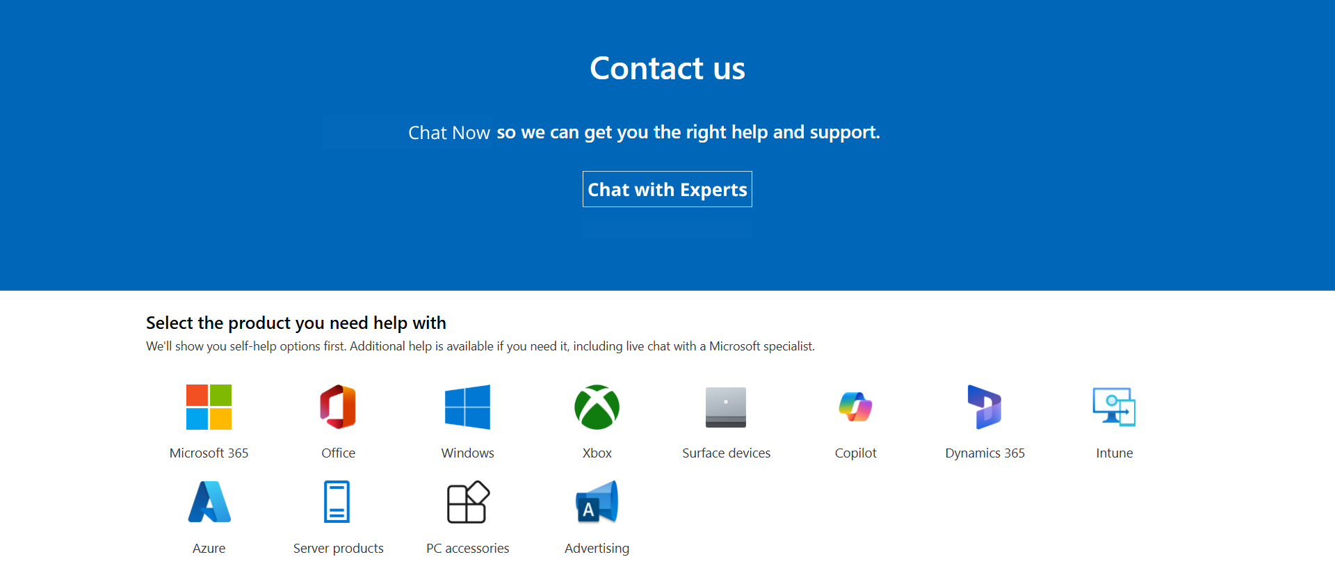 TechMicro Assist support specialist helping a customer with Microsoft software